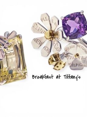 ✨🌸Meet the Posher🌸✨